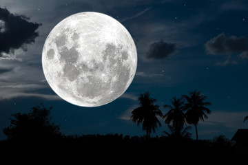 Obraz na płótnie Canvas Full moon on the sky with silhouette tree at night.