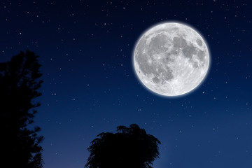 Fototapeta na wymiar Full moon on blue sky with silhouette tree.