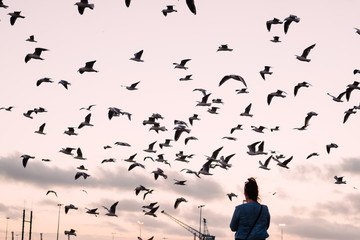 person looking at birds in the sky at sunset