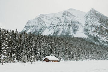 little cabin covered with snow