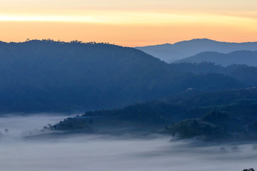 Fototapeta na wymiar View Mountain sunrise light morning mist mountain Phu Lanka in Phayao ,Thailand 