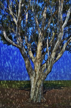 Landscape With A Blue Gum Tree Against Blue Sky