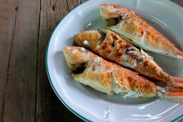 Grilled Red Snapper on the white disc ,fresh fish for food.