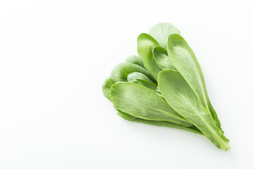 大葉春菊（鍋しゅんぎく）　北九州名産