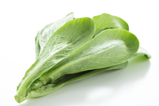 大葉春菊 のストック写真 ロイヤリティフリーの画像 ベクター イラスト Adobe Stock