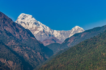 Naklejka premium Majestic view of Annapurna south and Himchuli from Poonhill Ghorepani Nepal