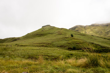 Grass Covered Field at Base of Mountains