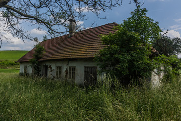 altes verwachsenes haus in der natur
