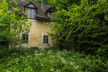 Fototapeta premium haus zwischen pflanzen und baeumen