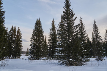     Snow- covered lake at dawn with boats on the shore.  Winter forest with snow-covered fir trees high in the mountains. Sunny February day in the spruce forest.      