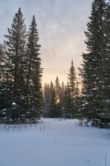     Snow- covered lake at dawn with boats on the shore.  Winter forest with snow-covered fir trees high in the mountains. Sunny February day in the spruce forest.      
