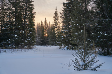     Snow- covered lake at dawn with boats on the shore.  Winter forest with snow-covered fir trees high in the mountains. Sunny February day in the spruce forest.      