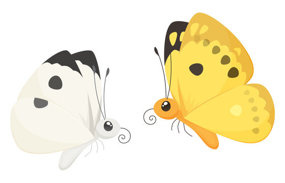 1 568 Best モンシロチョウ Images Stock Photos Vectors Adobe Stock