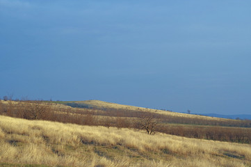 Early spring in southern europe