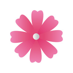 cute flower pink color isolated icon vector illustration design