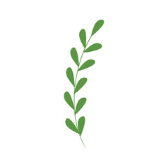 branch with leafs natural isolated icon vector illustration design