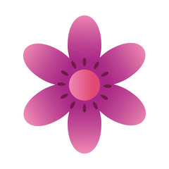 Fototapeta na wymiar cute flower purple color isolated icon vector illustration design