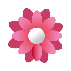 cute flower pink color isolated icon vector illustration design