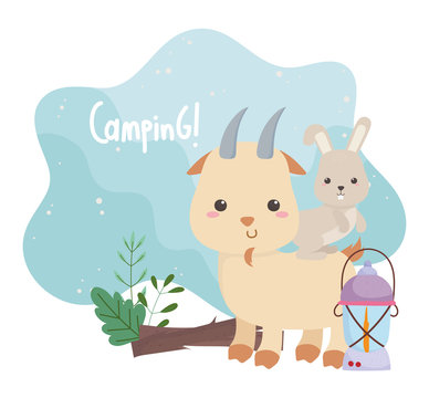 camping cute rabbit in goat lamp and trunk forst cartoon