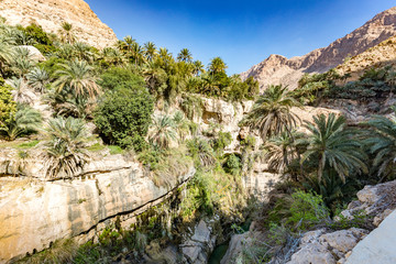 Wadi Tiwi water spring and waterfall, Oman - Water spring, waterfall and eroded canyon surrounded...