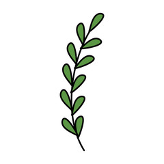 branch with leafs natural isolated icon vector illustration design