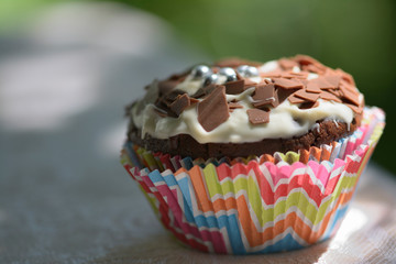 Chocolate muffins close up on a sunny day