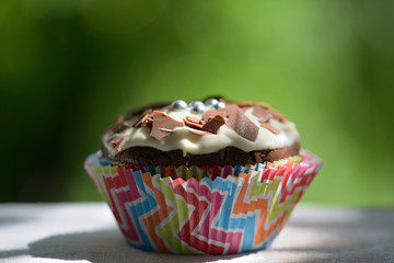 Chocolate muffins close up on a sunny day