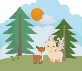 Obraz na płótnie Canvas camping cute deer goat and rabbit pine trees meadow sun cartoon
