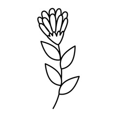 cute flower with branch and leafs line style icon vector illustration design