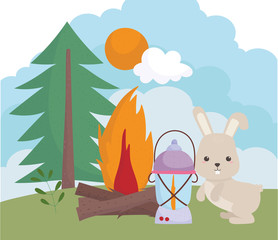 camping cute rabbit lantern bonfire tree sun clouds cartoon