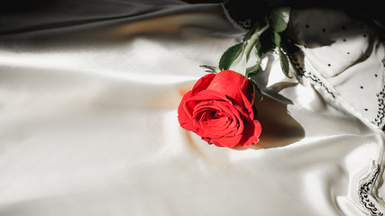 Red rose on white silk. Intimу concept