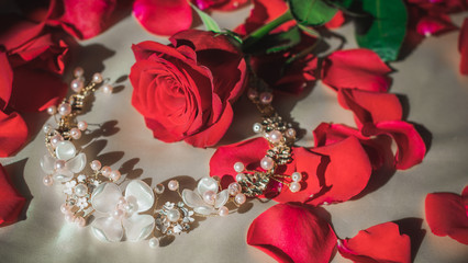 Beauty details for fashionable women. Hair accessories for ladies