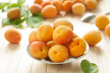 Fresh ripe apricots with leaves in a white ceramic bowl on a light table.