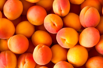 Many fresh ripe beautiful apricot fruits top view. Fruit background.