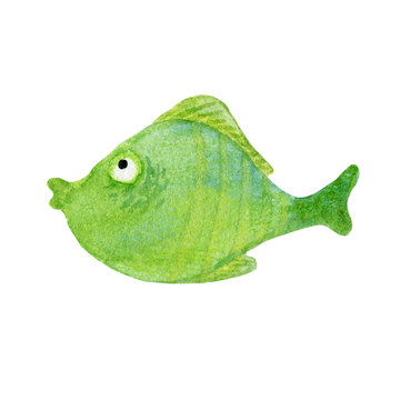 Bright green aquarium, sea fish. Multicolored, children's watercolor illustration. Clipart on a white background.