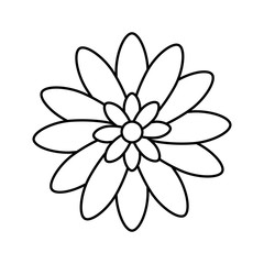 cute flower natural line style icon vector illustration design