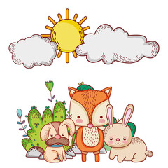 cute animals, dog fox and rabbit cartoon