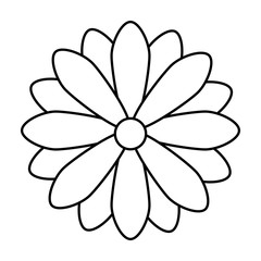 cute flower natural line style icon vector illustration design