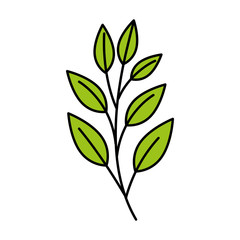 branch with leafs natural isolated icon vector illustration design