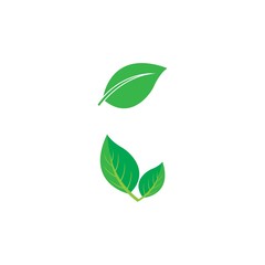 Leaf icon Vector Illustration design