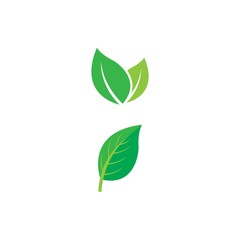 Leaf icon Vector Illustration design