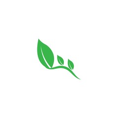 Fototapeta premium Leaf icon Vector Illustration design