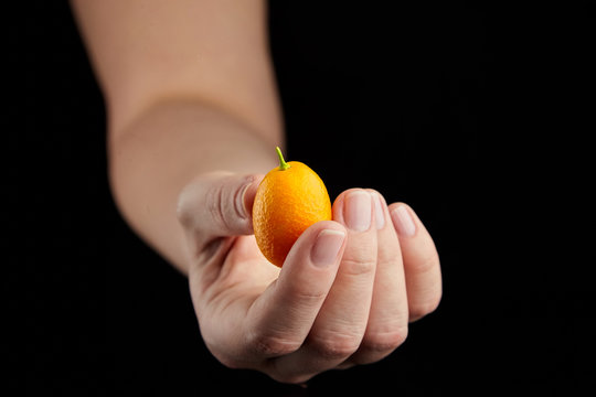 Kumquat , small oval citrus fruits, nagami variety