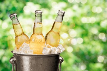 Bottles of cold and fresh beer with ice in the bucket
