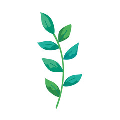 branch with leafs natural isolated icon vector illustration design