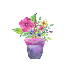 Spring bouquet with beautiful flowers in pot