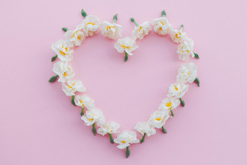 Heart made of fresh white daffodil flowers on pastel pink background.