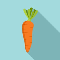 Carrot icon. Flat illustration of carrot vector icon for web design