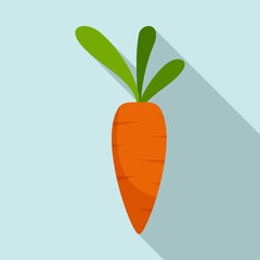 Fresh carrot icon. Flat illustration of fresh carrot vector icon for web design