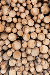 Timber harvesting in Norway